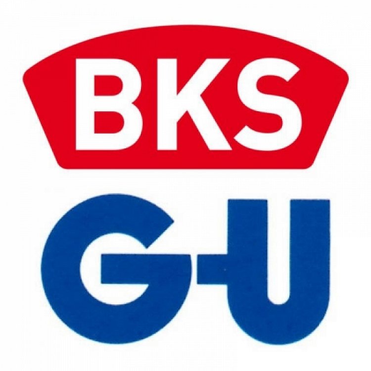 Μηχανισμός Επαναφοράς Πόρτας (Σούστα) BKS OTS GU 430