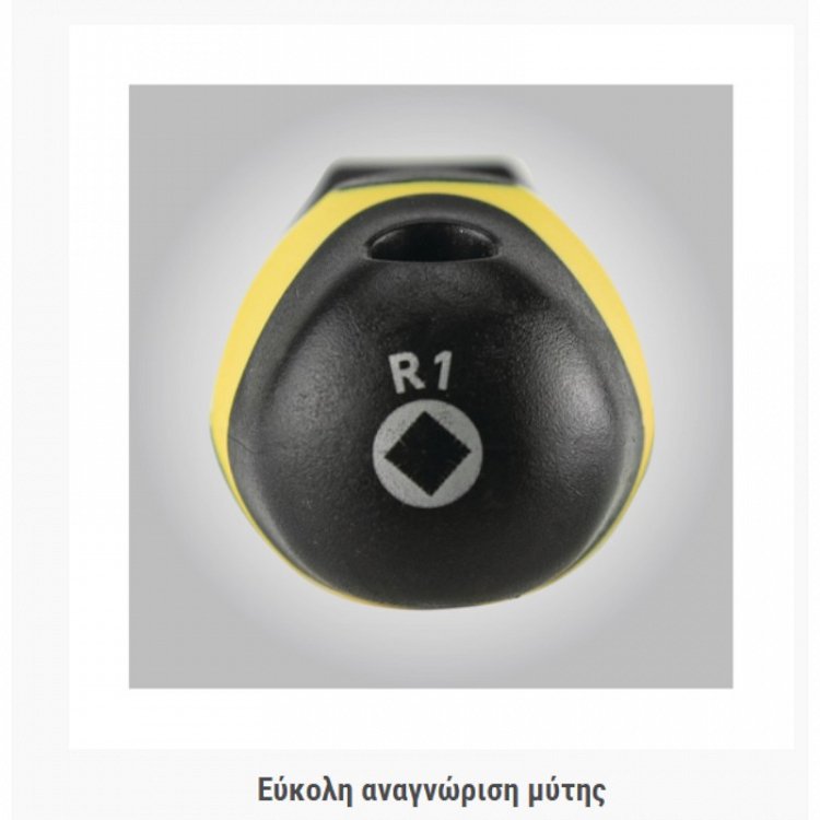 Κατσαβίδι Robertson (RB) Progrip