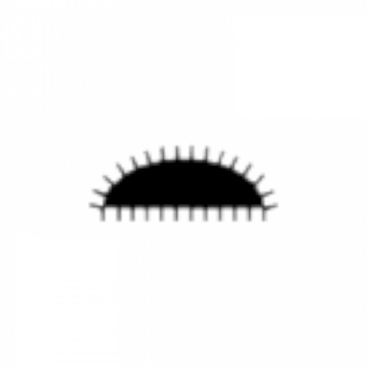 Ράσπα Ξύλου Ημιστρόγγυλη με Λαβή