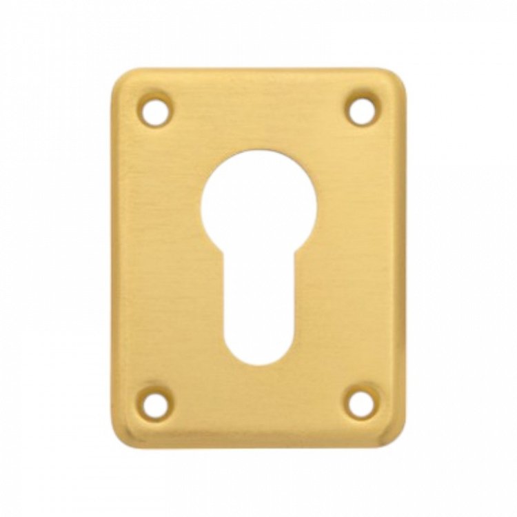 Securemme Επιστόμιο Πρόσθετης Κλειδαριάς Κυλίνδρου | Brass