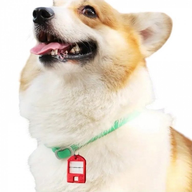 Σετ πολύχρωμα καρτελάκια κλειδιών | 20 τμχ